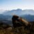 Pico da Caledônia é reaberto para visitação com novas regras de acesso