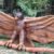Ecoparque Encontro dos Rios traz fotografia, literatura, arte e imersão de bem-estar neste setembro
